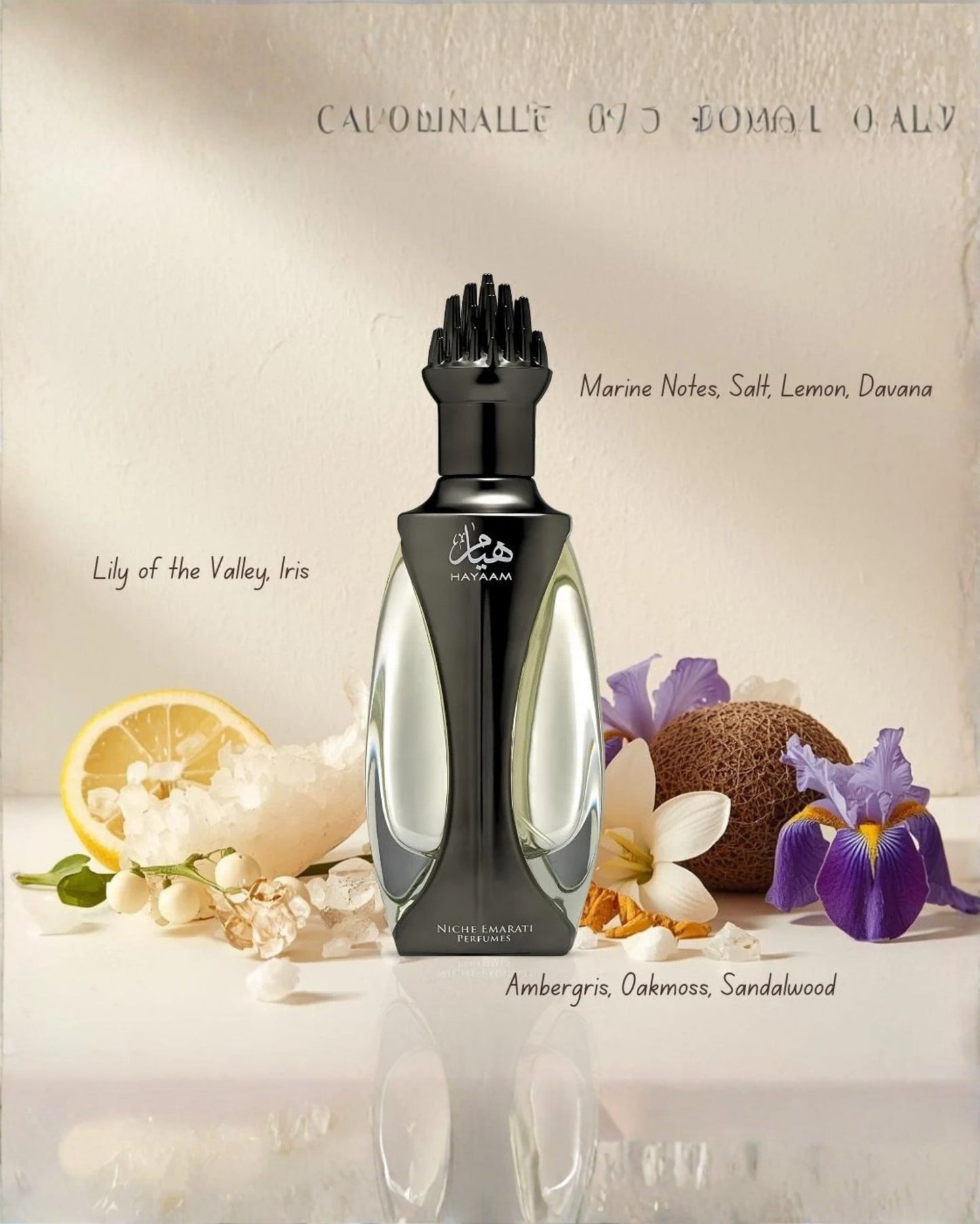 Lattafa Niche Emarati Hayaam Eau de Parfum unisex - 100 ml